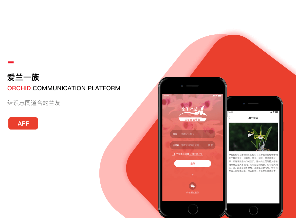 信息交流平台APP 成都交流app开发