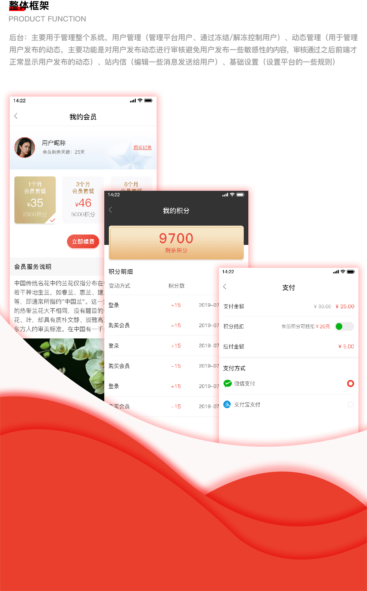 爱兰交流平台APP 成都社交app开发